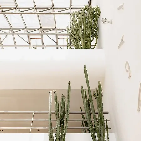 Hotel Les Corallines - Thalasso & 4*